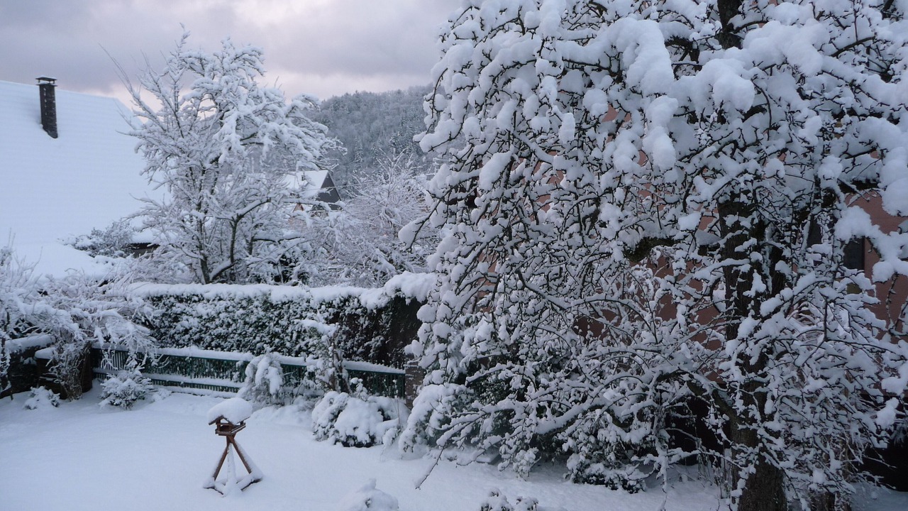 Photo of Outdoor in Saint-Amarin