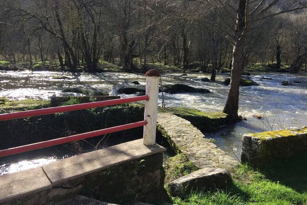 Photo of Outdoor in Mortagne-sur-Sevre