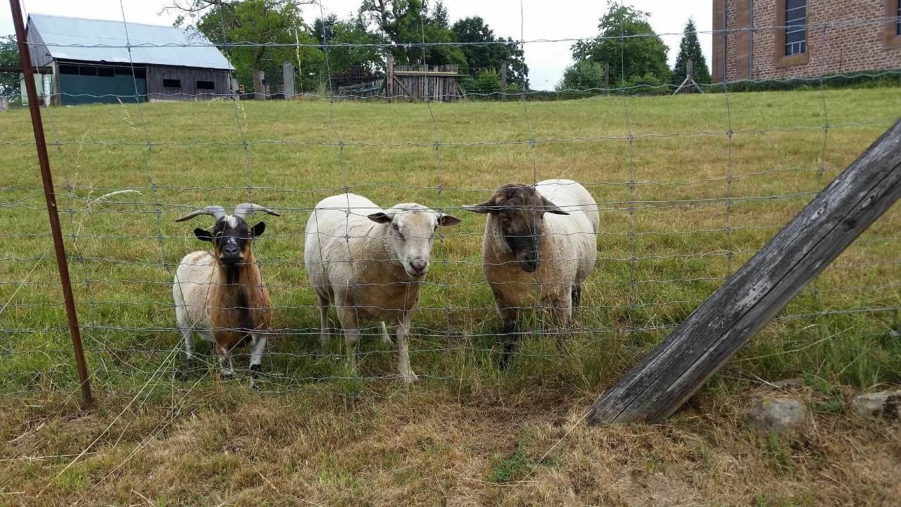 Photo of Others in Schillersdorf