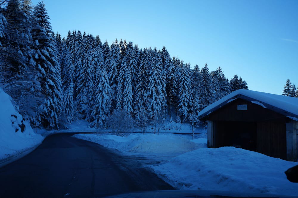 Photo of Outdoor in Le Tholy