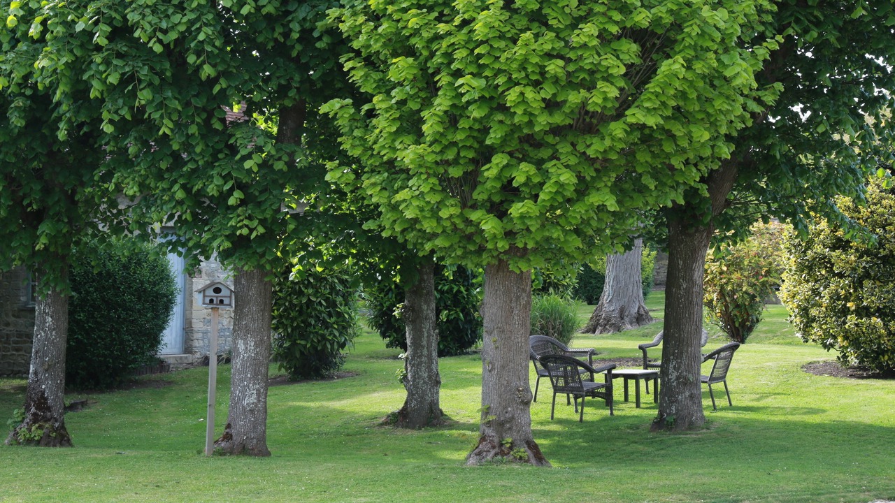 Photo of Outdoor in Bayeux
