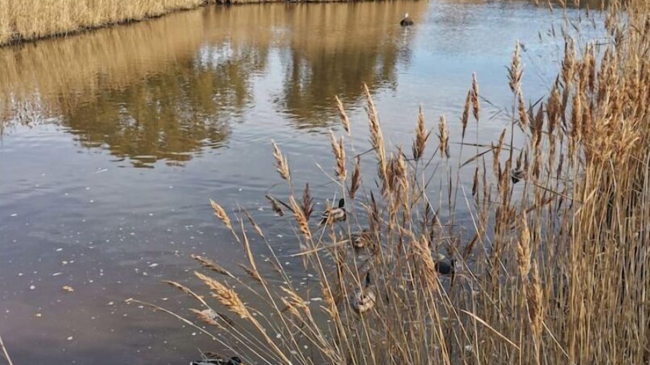 Photo of Outdoor in Fouesnant