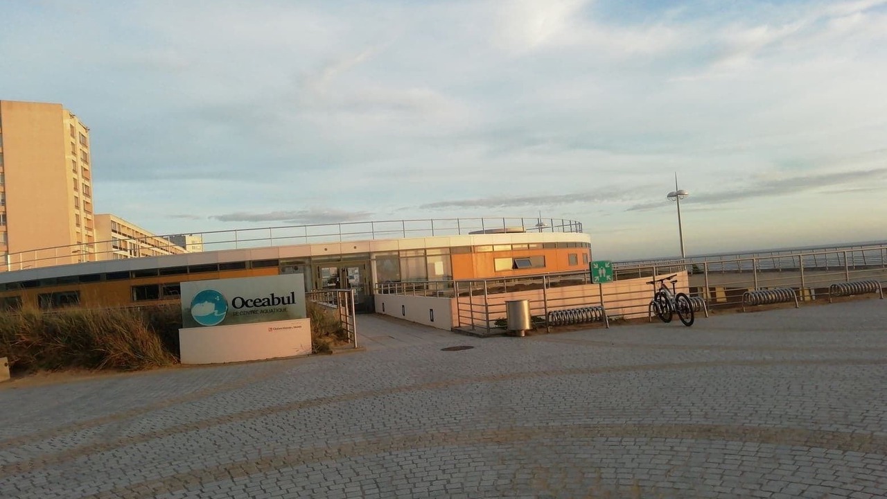 Photo of Outdoor in Saint-Jean-de-Monts