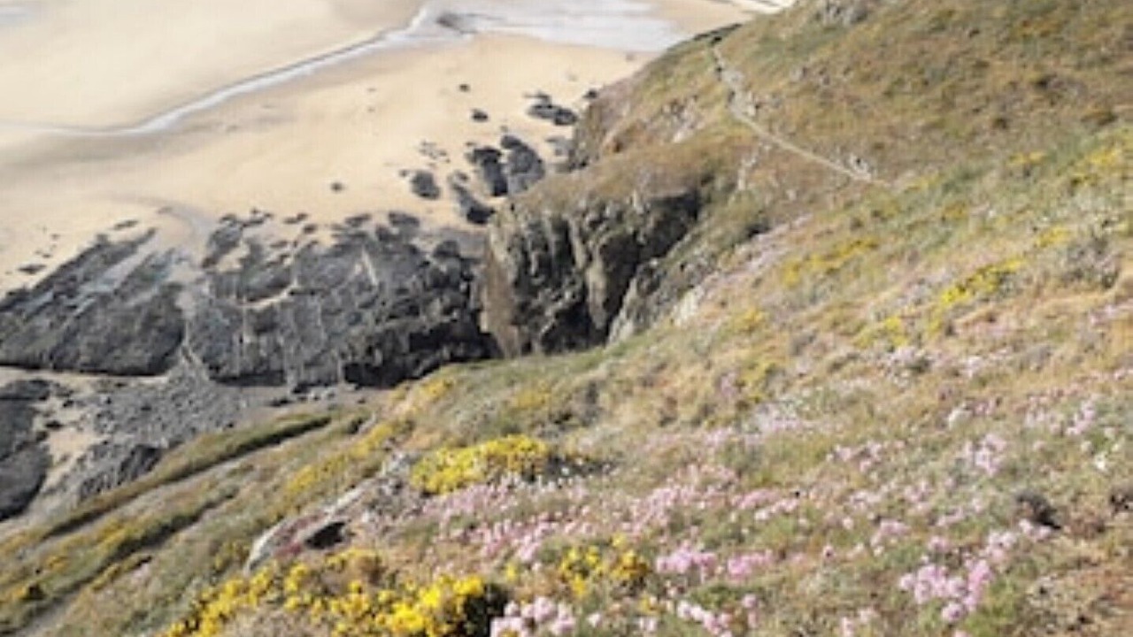 Photo of Others in Barneville-Carteret