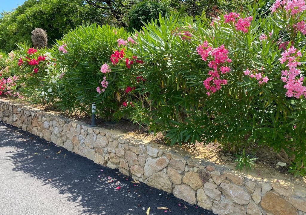 Photo of Outdoor in La Gaude