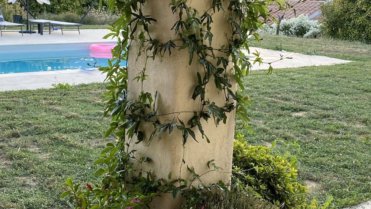 Photo of Outdoor in La Gaude