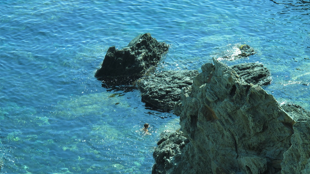 Photo of Others in Port-Vendres