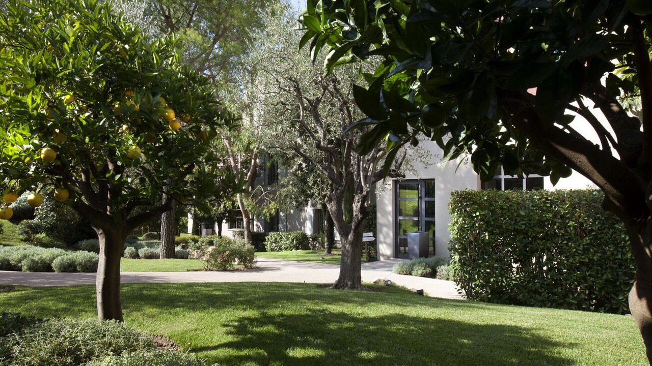 Photo of Outdoor in Mougins