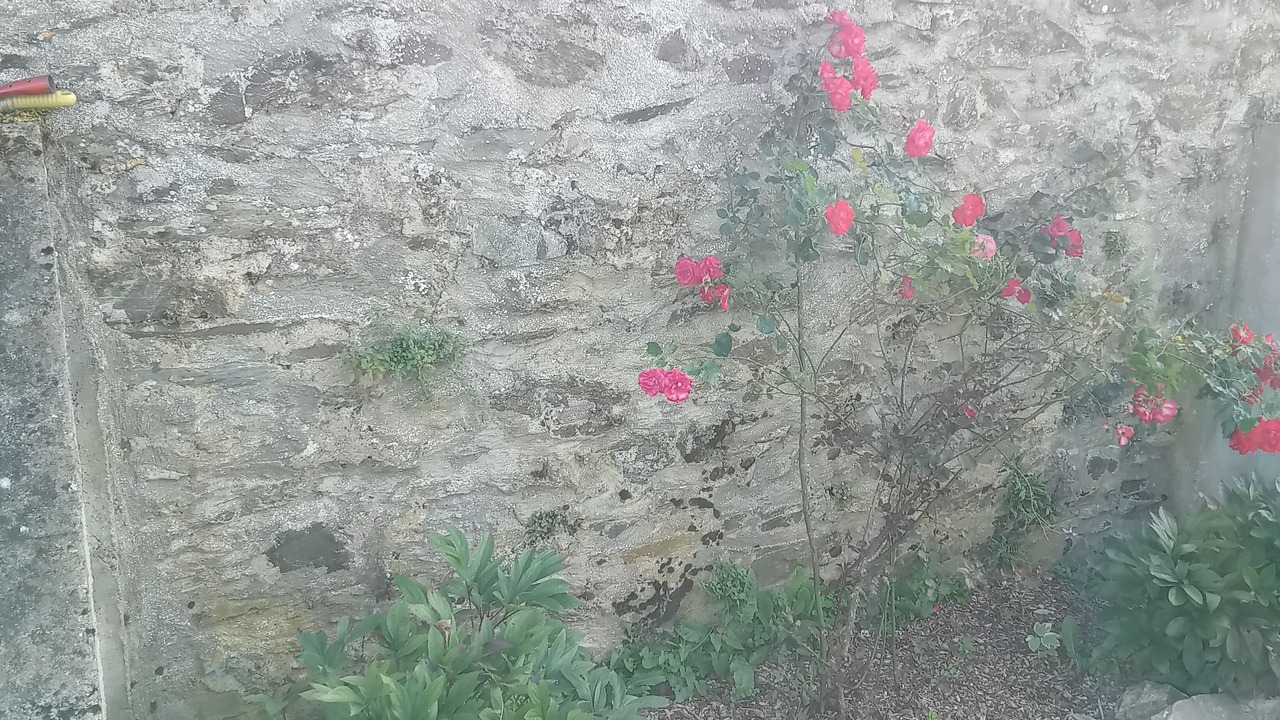 Photo of Outdoor in Reaumur