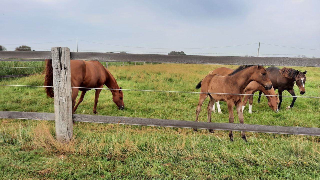 Photo of Others in Audouville-la-Hubert