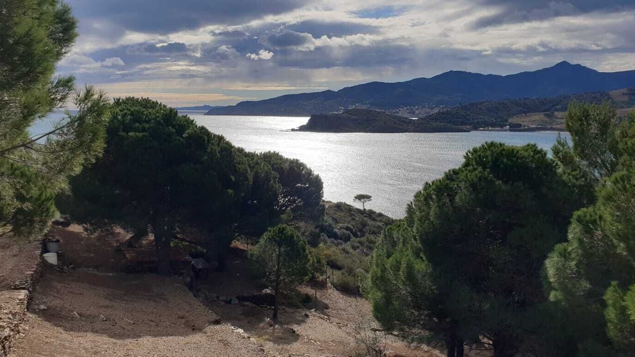 Photo of Others in Port-Vendres