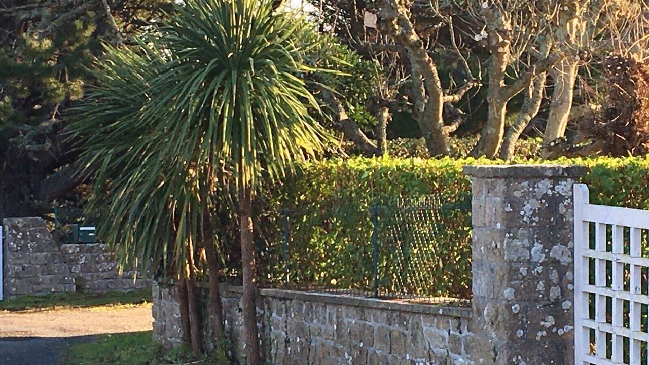 Photo of Outdoor in Plobannalec-Lesconil