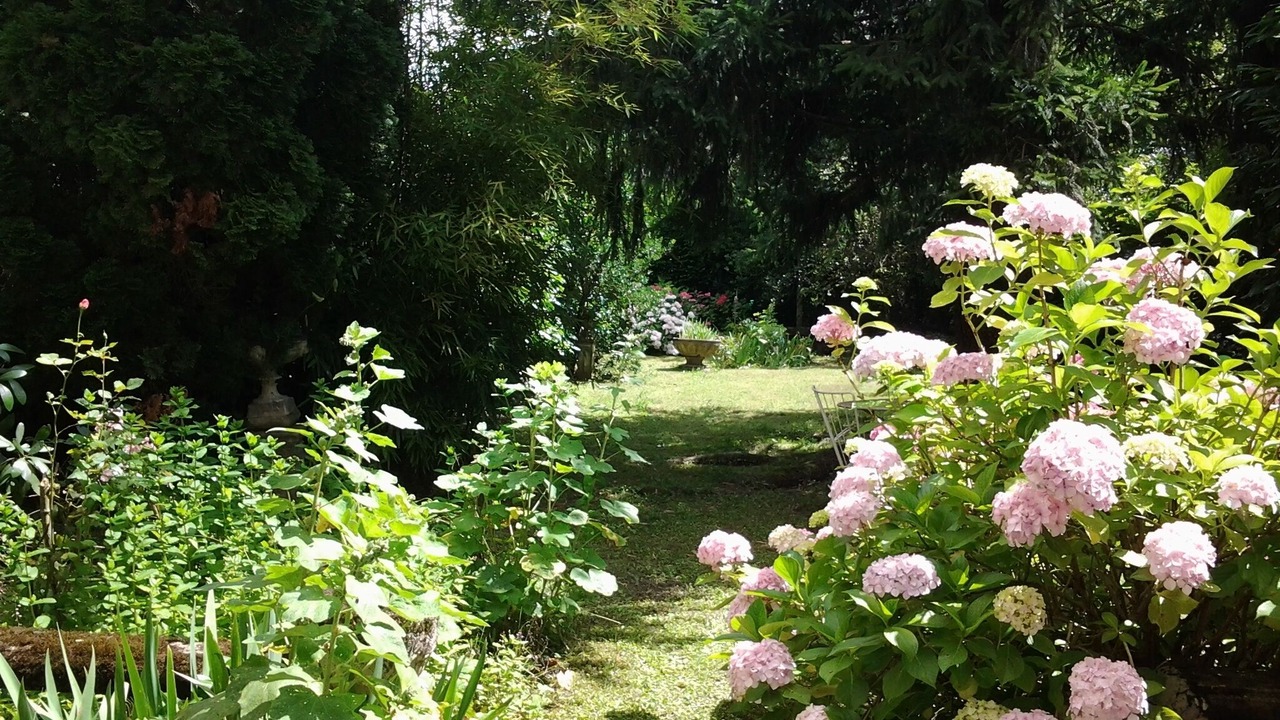 Photo of Outdoor in Bagneres-de-Luchon