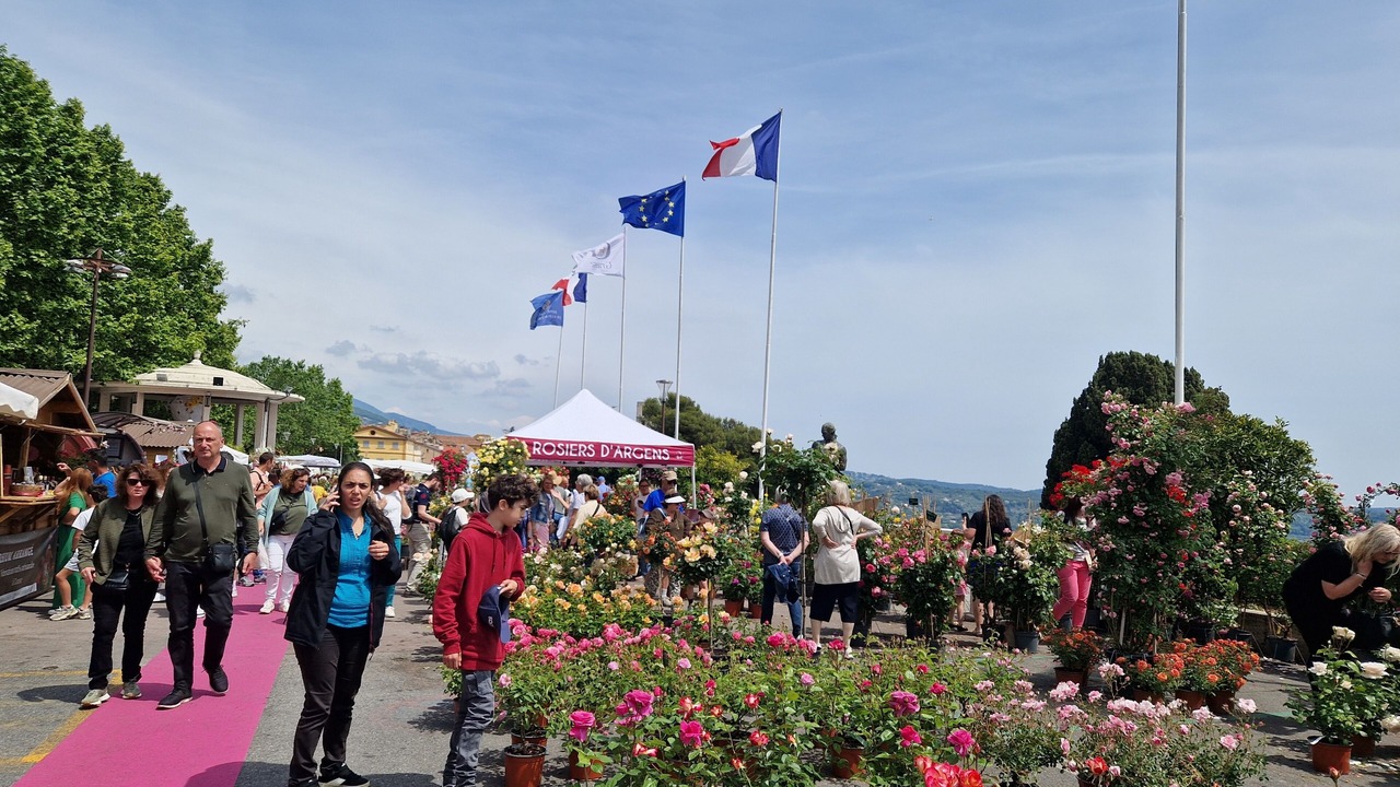 Photo of Others in Le Bar-sur-Loup