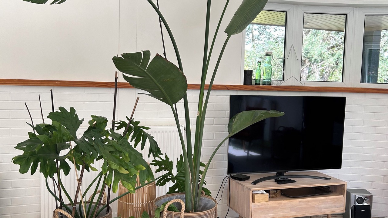 Photo of Livingroom in Hardelot-Plage