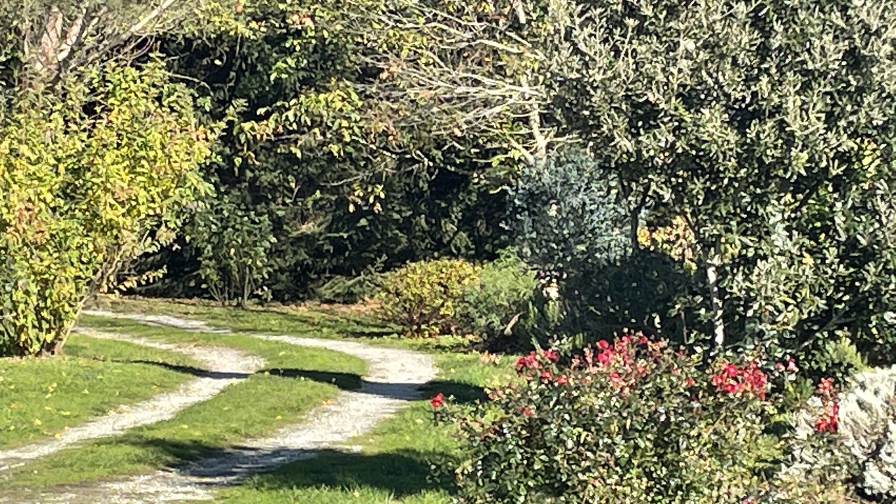 Photo of Outdoor in Saint-Denis