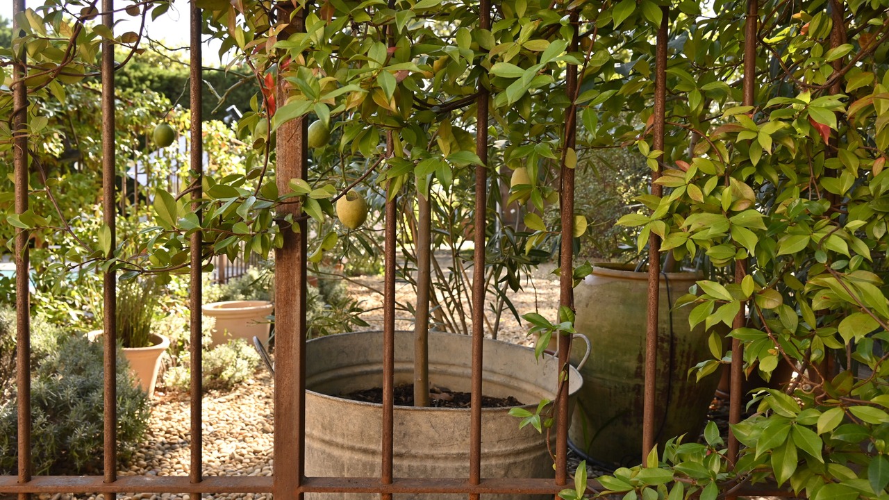 Photo of Outdoor in Perpignan