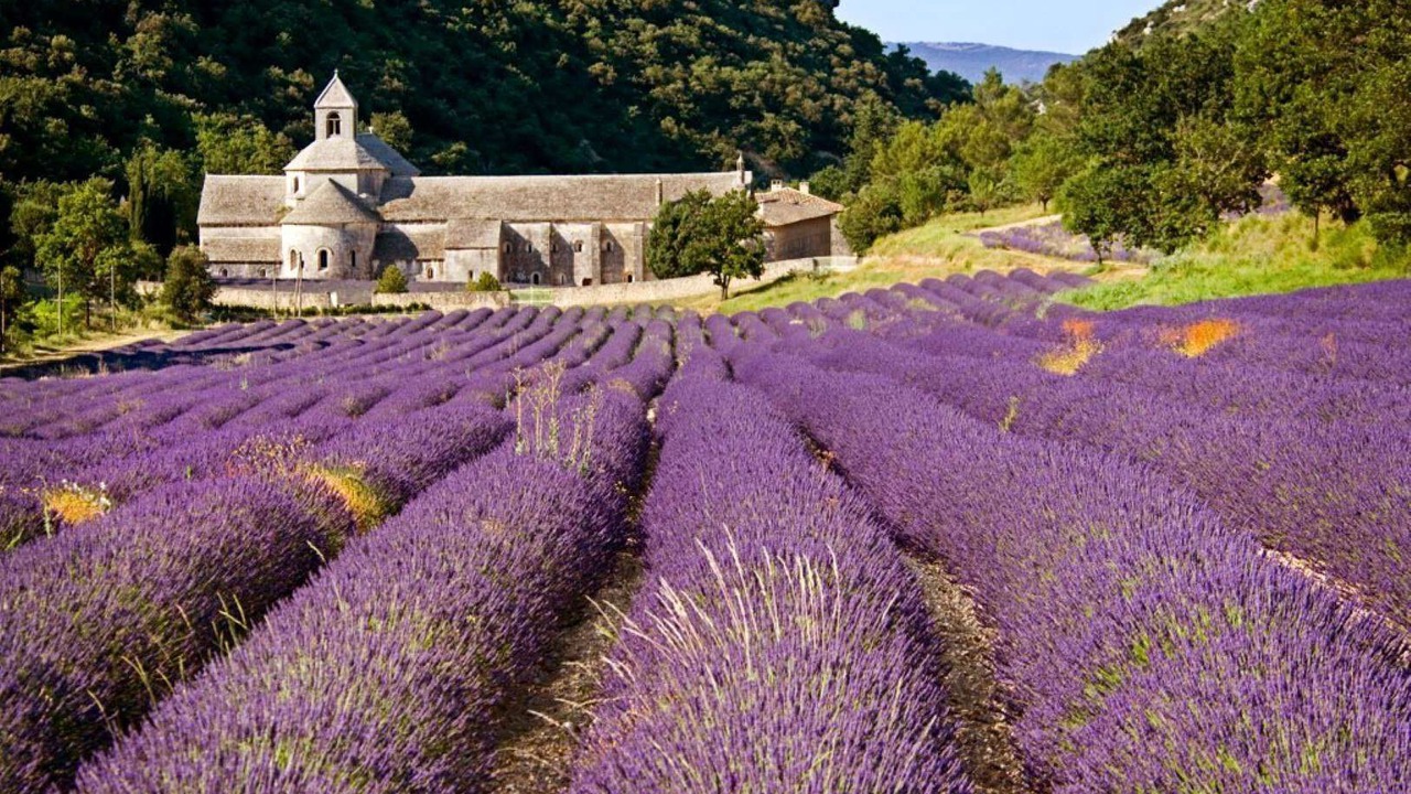 Photo of Others in Gordes