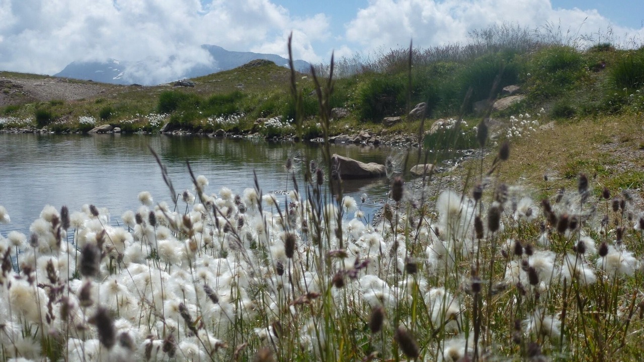 Photo of Outdoor in Saint-Michel-de-Chaillol