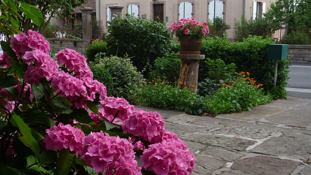 Photo of Outdoor in Schœnbourg