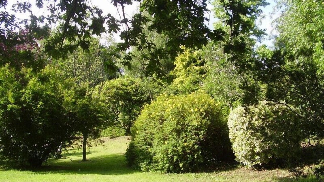 Photo of Outdoor in La Foret-Fouesnant