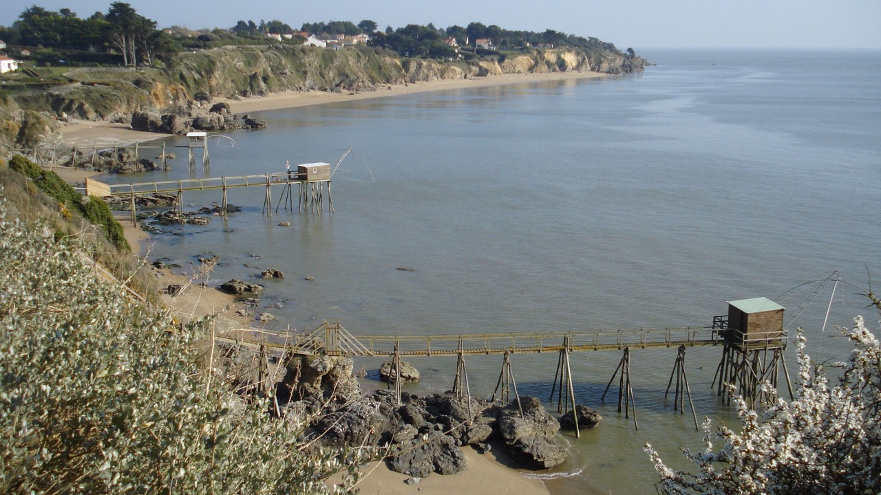 Photo of Others in La Rogere