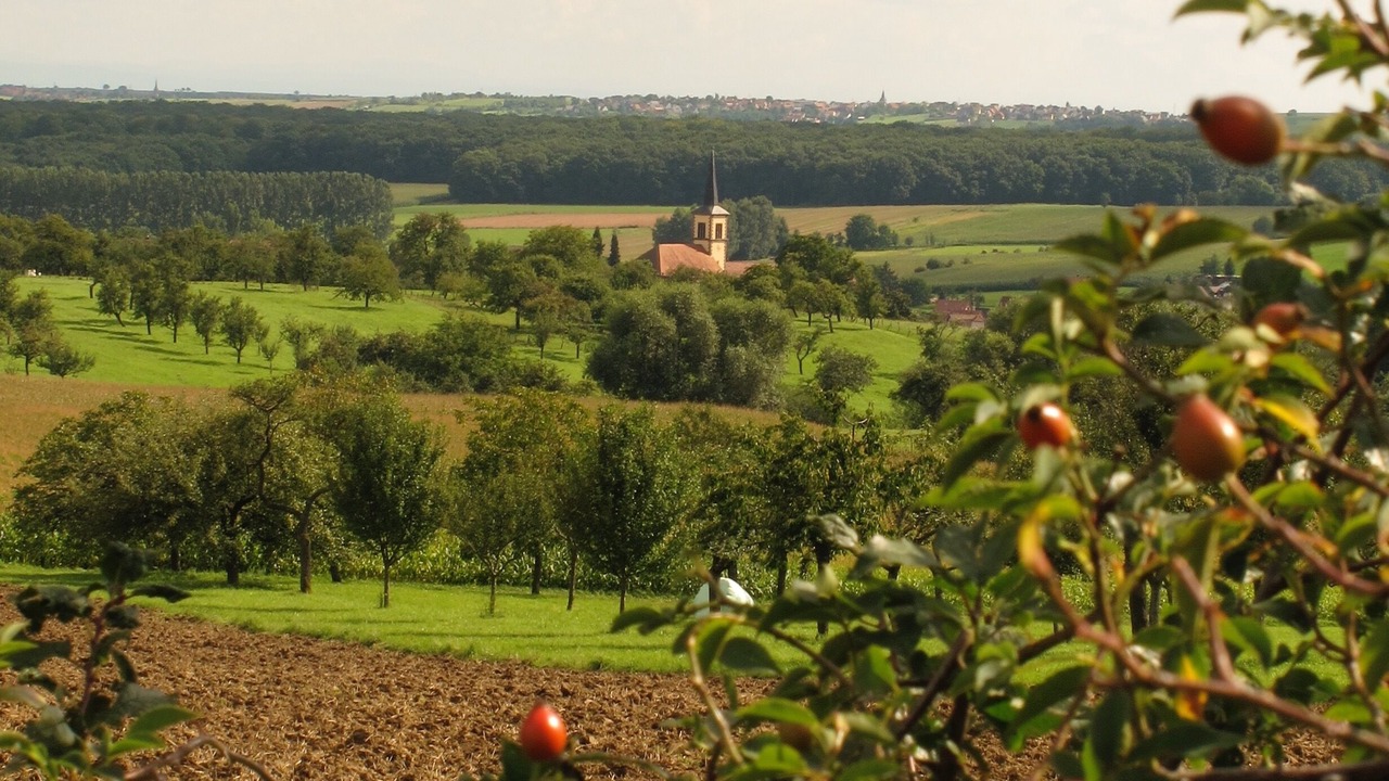 Photo of Outdoor in Mietesheim