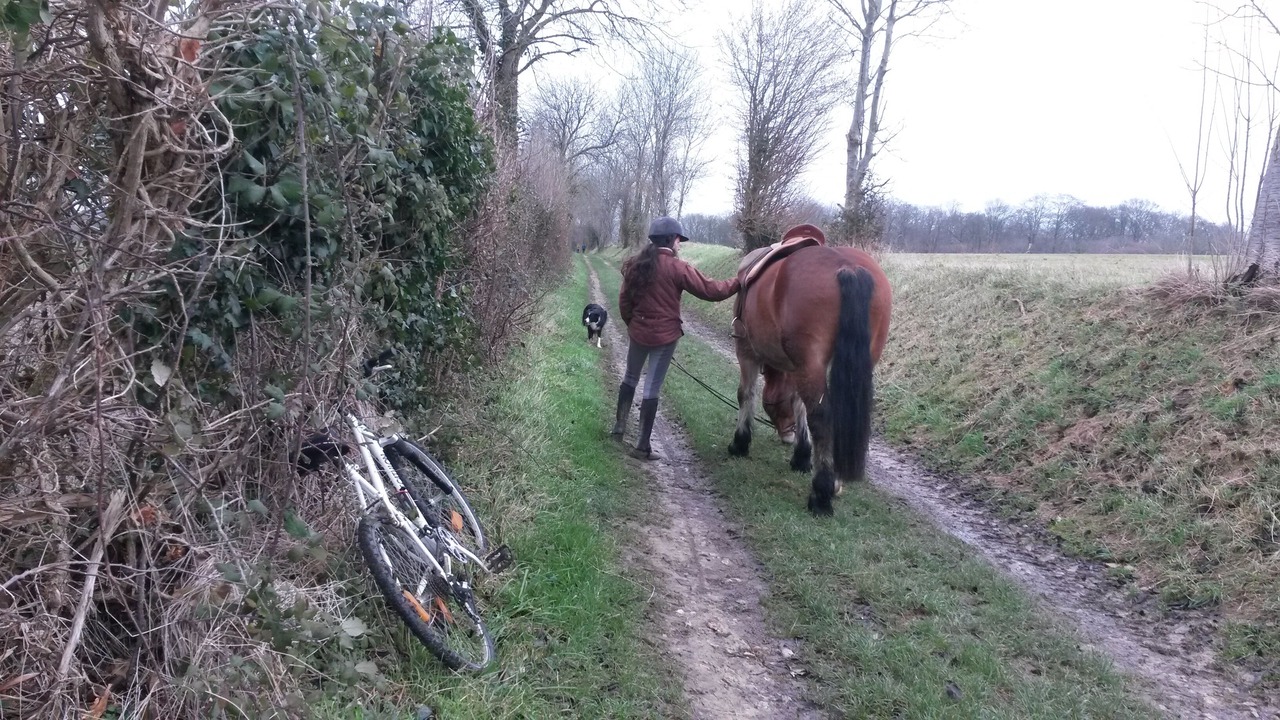 Photo of Outdoor in Colombiers-sur-Seulles