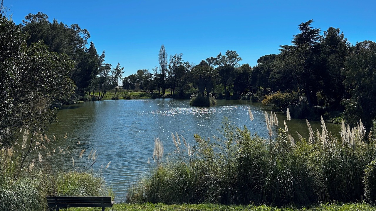 Photo of Others in Villeneuve-Loubet