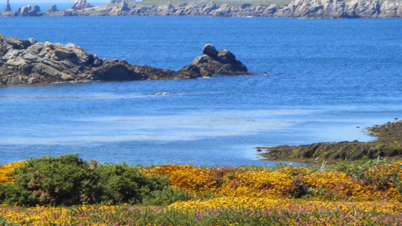 Photo of Others in Le Conquet