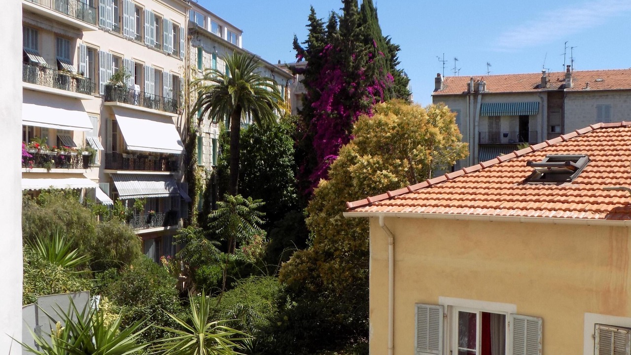 Photo of Others in Nice City Centre