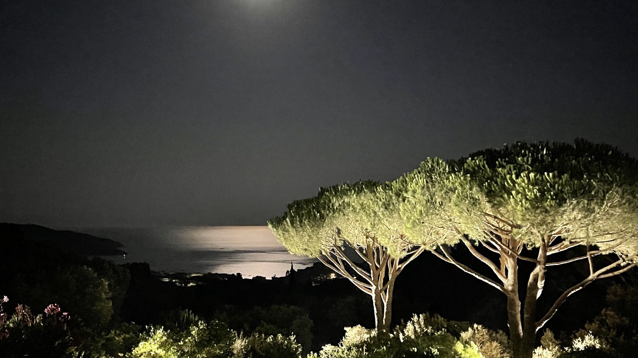 Photo of Outdoor in La Croix-Valmer
