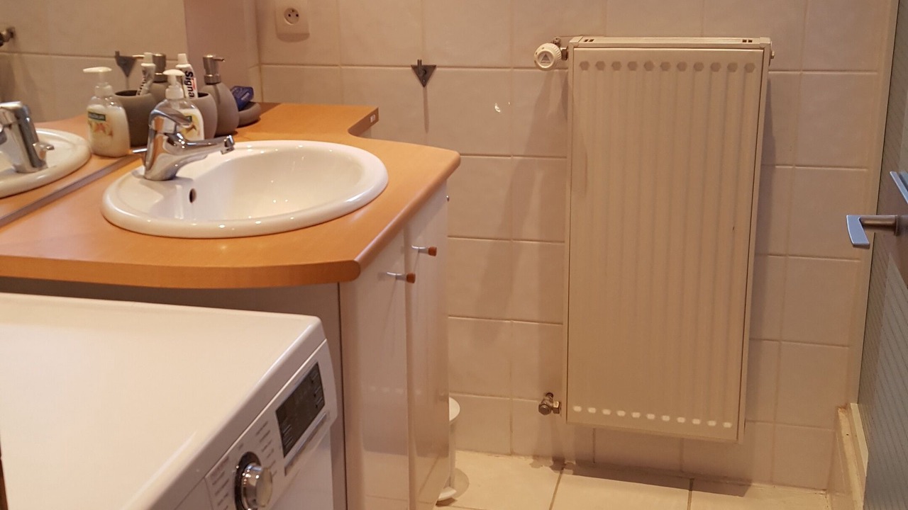 Photo of Bathroom in La Roche
