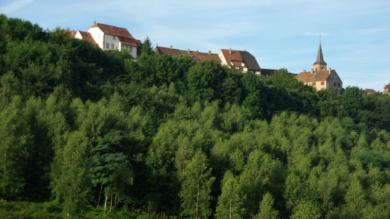 Photo of Outdoor in La Petite-Pierre