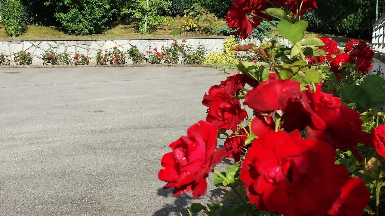Photo of Outdoor in Travexin