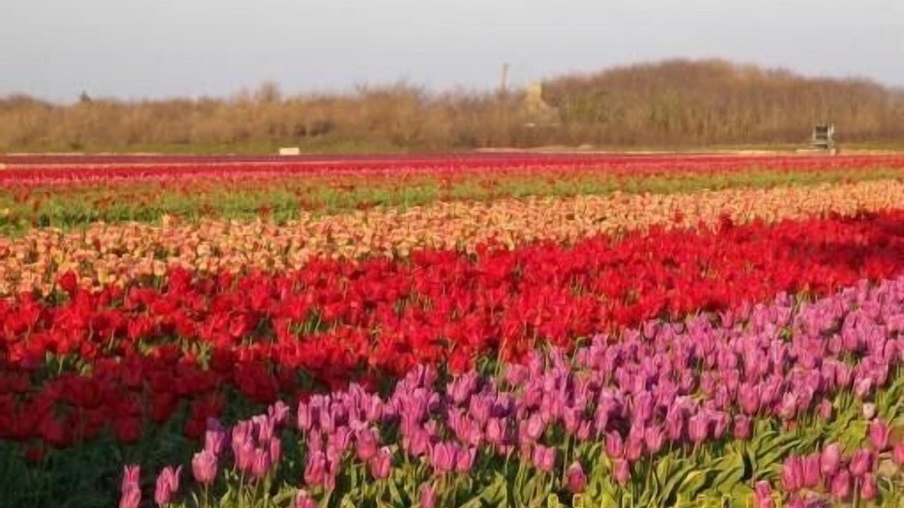 Photo of Outdoor in Plomeur