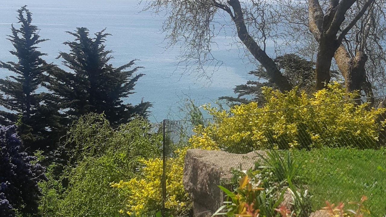 Photo of Outdoor in Trebeurden