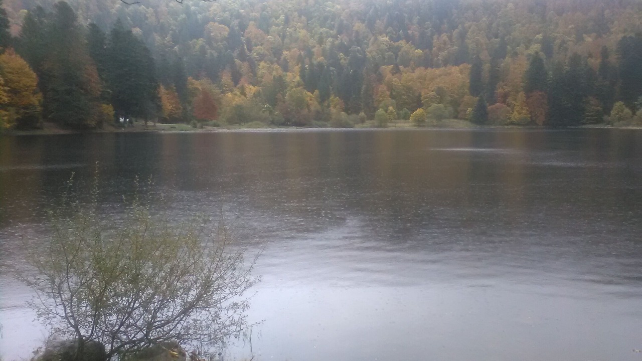 Photo of Others in La Bresse