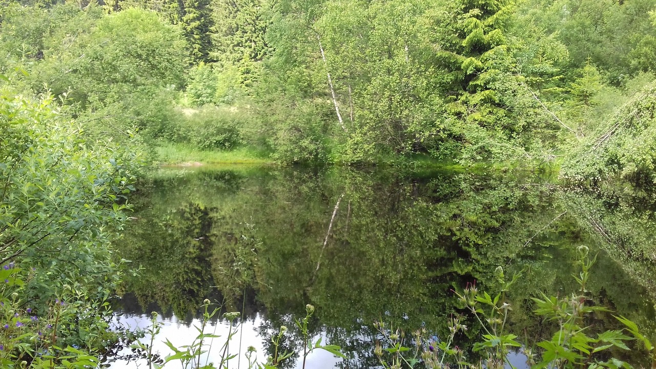 Photo of Outdoor in La Bresse