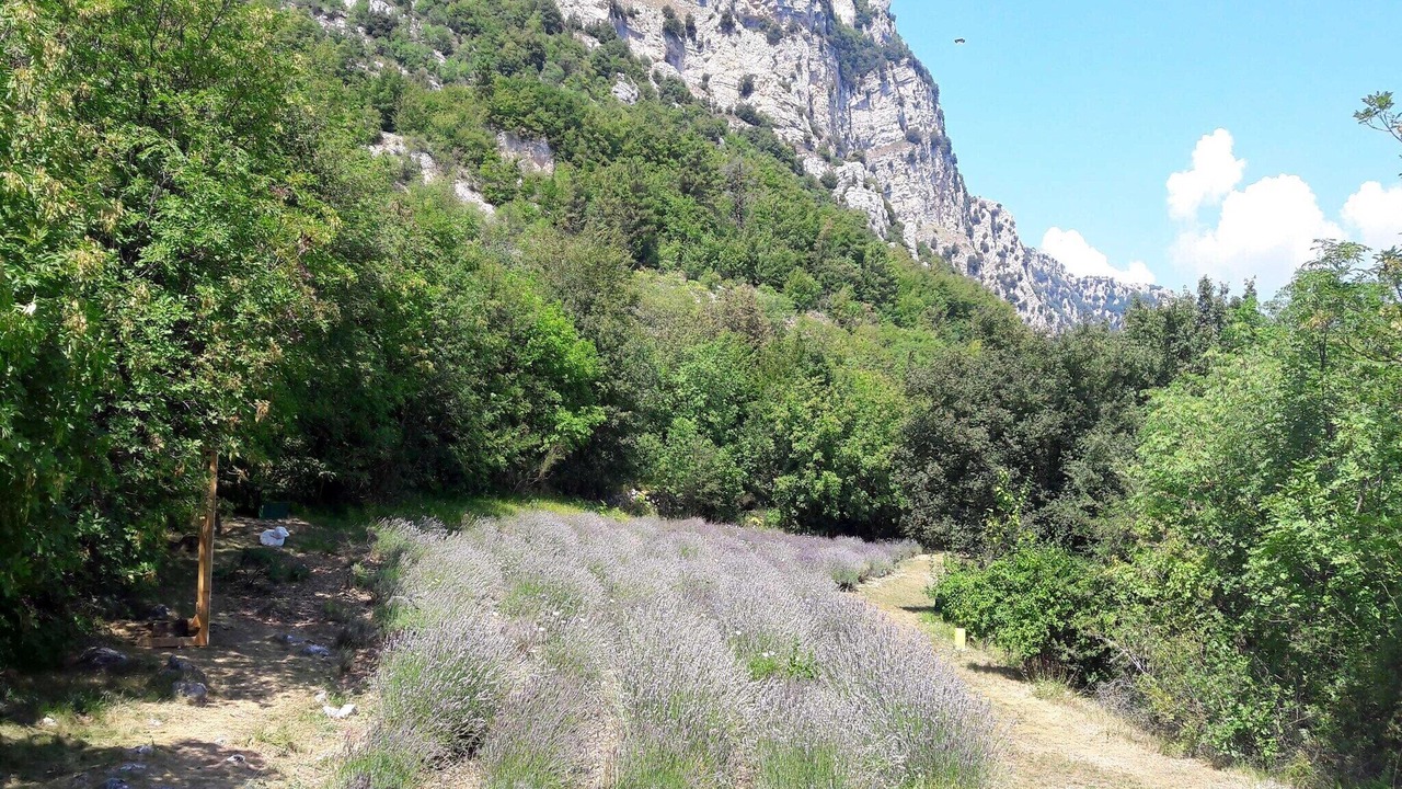 Photo of Others in Le Bar-sur-Loup