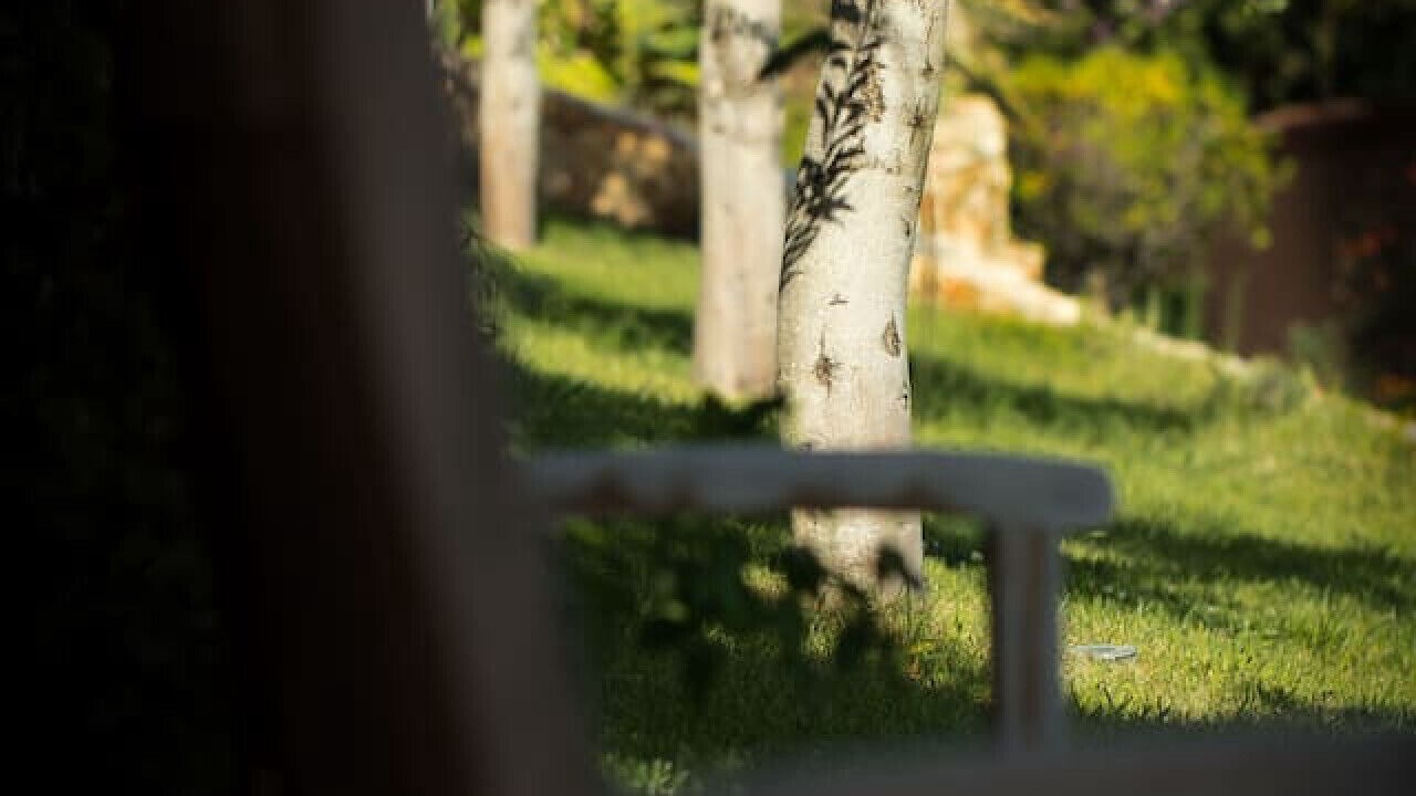 Photo of Outdoor in Biot