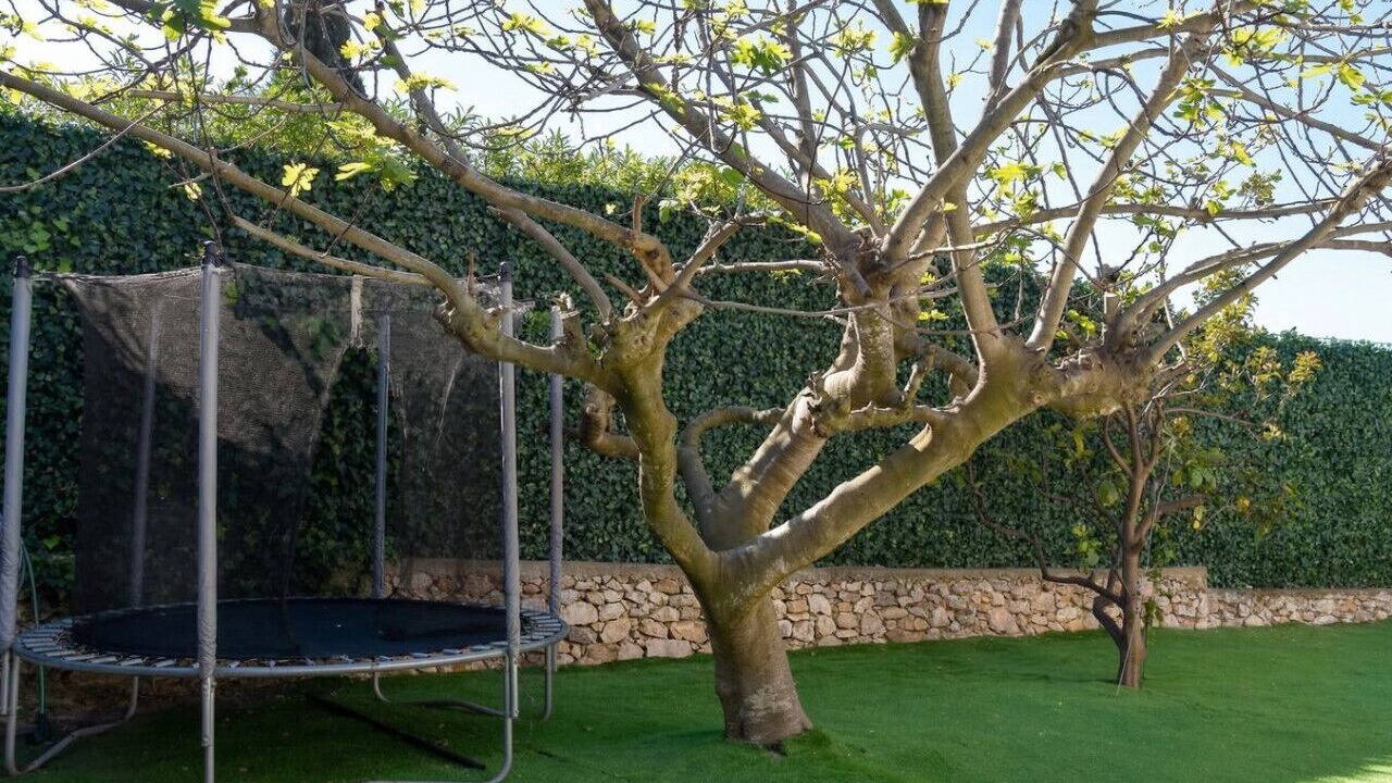 Photo of Outdoor in Gairaut