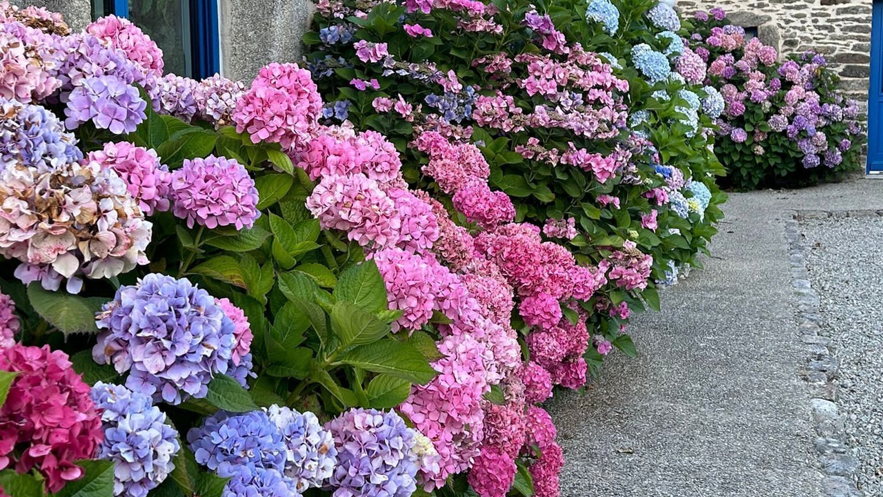Photo of Outdoor in Treguennec
