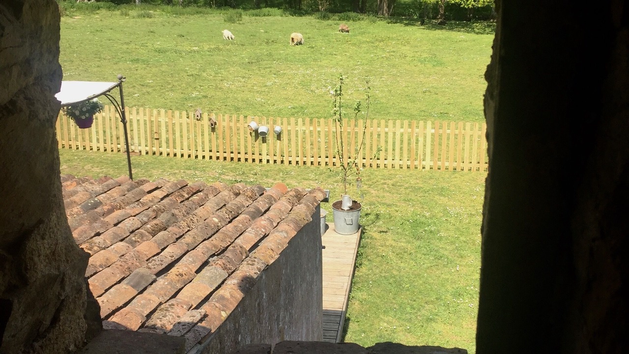 Photo of Outdoor in Cholet