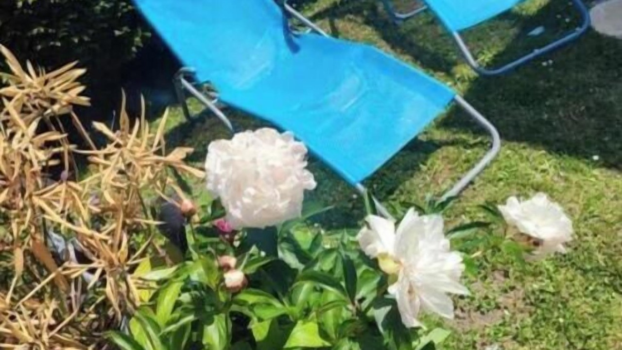 Photo of Outdoor in Noyelles-sur-Mer