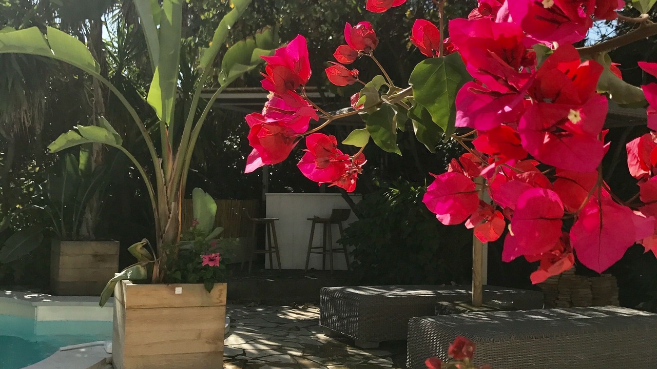 Photo of Outdoor in California - Pezou