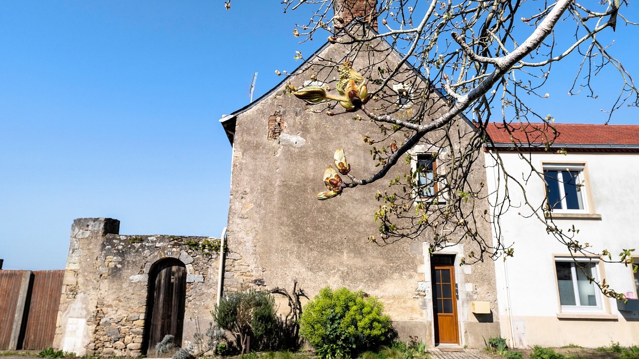 Photo of Outdoor in Frossay