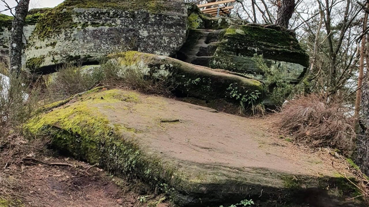 Photo of Others in Wingen-sur-Moder