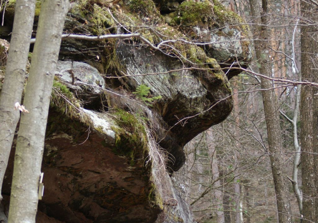 Photo of Others in Lichtenberg