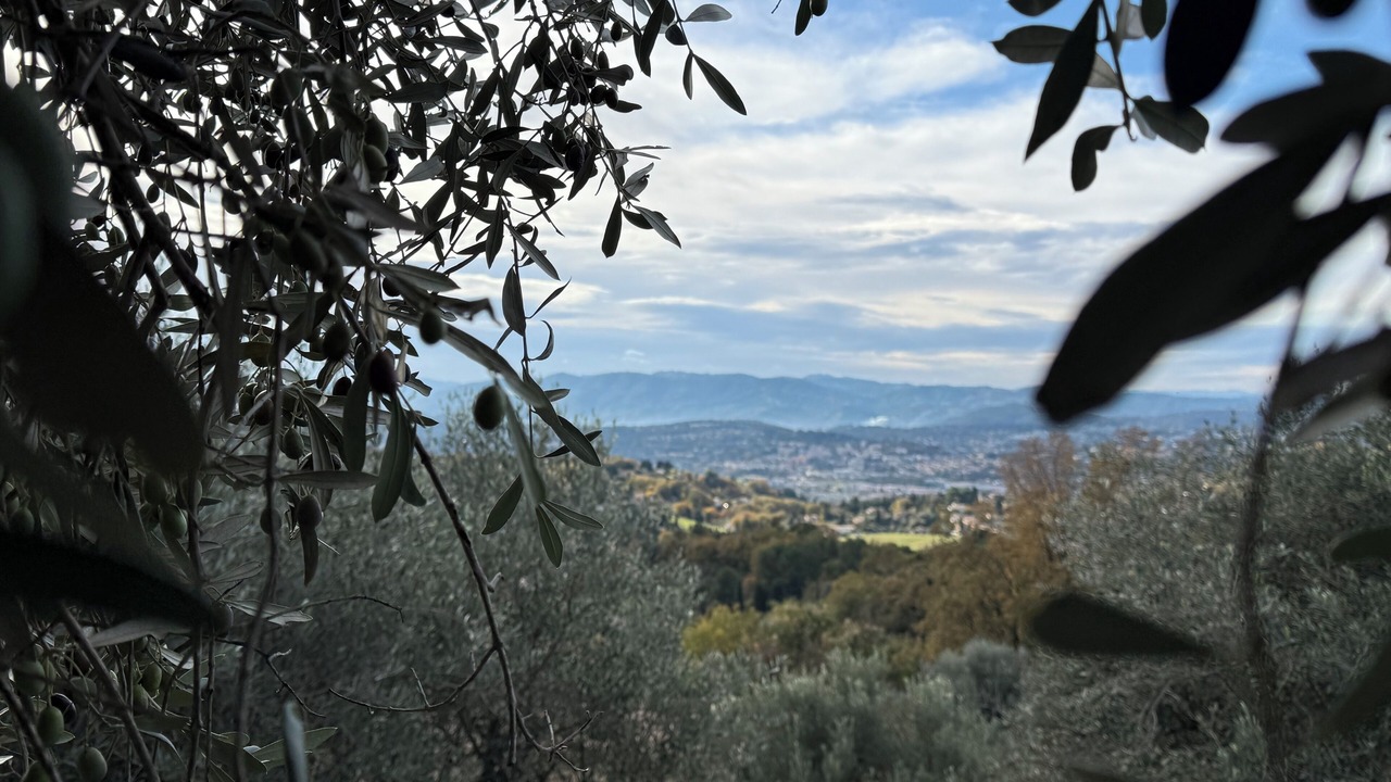 Photo of Others in Chateauneuf-Grasse